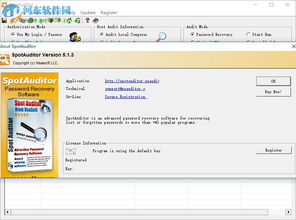 spotauditor下載 spotauditor 密碼恢復(fù)軟件 5.2.4 免費版 河東下載站