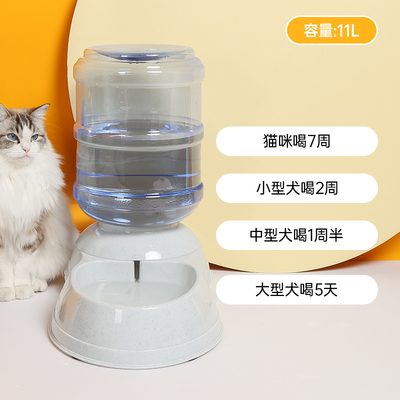 不插電的靈動源泉 寵物自助飲水機，讓毛孩子愛上喝水