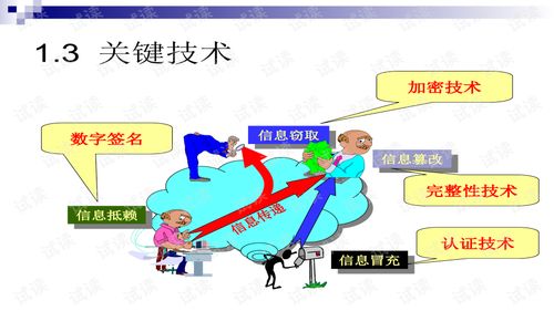 網(wǎng)絡(luò)攻防技術(shù)與計(jì)算機(jī)軟件技術(shù)服務(wù) 數(shù)字時(shí)代的安全屏障